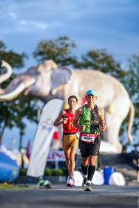 BIB: 
                            <button type="button" onclick="openModal(26541184)" class="btn btn-primary btn-sm float-right btn-popup" data-toggle="modal" data-target=".modal-high-quality">
                        <i class="fas fa-shopping-cart"></i> Add to Cart
                    </button>
                                            <button type="button" onclick="isThisMe(26541184, true)" class="btn btn-success btn-sm float-right btn-popup btn-isme hidden" data-toggle="tooltip" data-placement="bottom" title="นี่คือรูปของคุณใช่ไหม คลิกที่นี่เพื่อเอาเข้าอัลบั้ม">
                        <i class="fas fa-plus"></i> Add to album
                    </button>
                    <button type="button" onclick="isThisMe(26541184, false)" class="btn btn-warning btn-sm float-right btn-popup btn-isnotme hidden">
                        <i class="fas fa-ban"></i> Remove from album
                    </button>